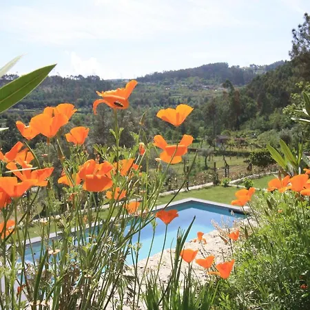 Dantas Village Moure