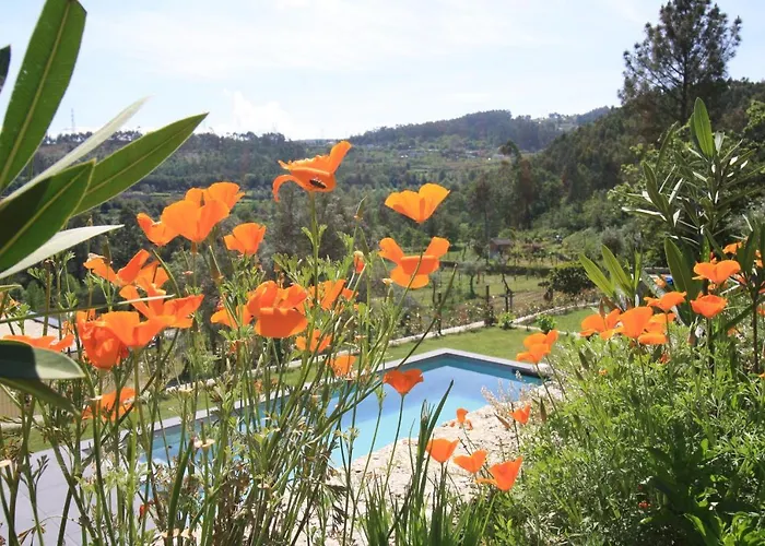 Dantas Village Moure